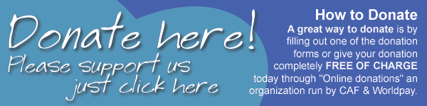 Make an online donation to Cancer Research Wales