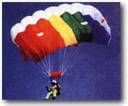 para.JPG (14480 bytes)