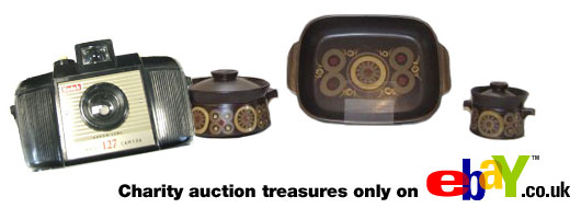 Visit our charity auction pages on E-Bay!